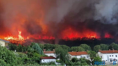 Carso: sono 3700 gli ettari andati a fuoco nell'incendio della settimana scorsa