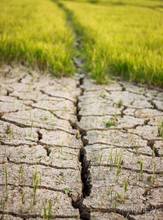 Crisi idrica e siccità: stato di severità alta