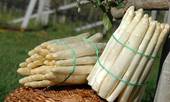 Cordenons: salotto dell'asparago dal 23 al 25 aprile