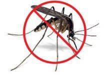Portoguraro, lotta alla zanzara: continua la prevenzione