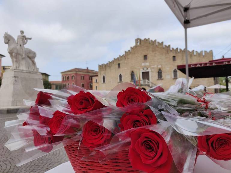  Questo 25 aprile il Bocolo di San Marco torna nelle piazze del portogruarese con la Croce Rossa Italiana