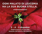 Il 3, 4 e 5 dicembre le Stelle di Natale per l'Ail anche in Veneto Orientale 